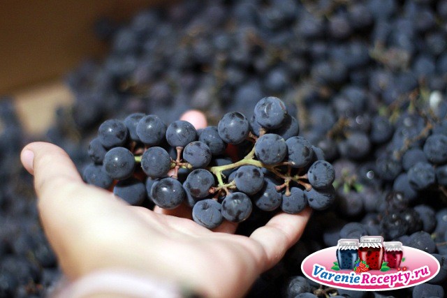 Как приготовить компот из винограда изабелла?